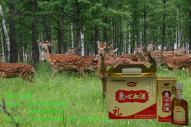 广东博罗县养羊场&养牛场价格_广东博罗县养